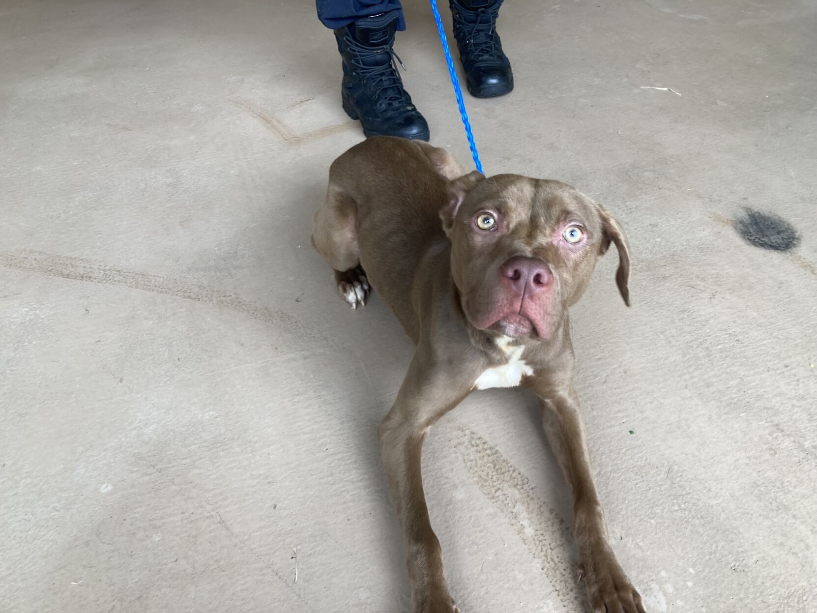 MISSY - ID#A016994